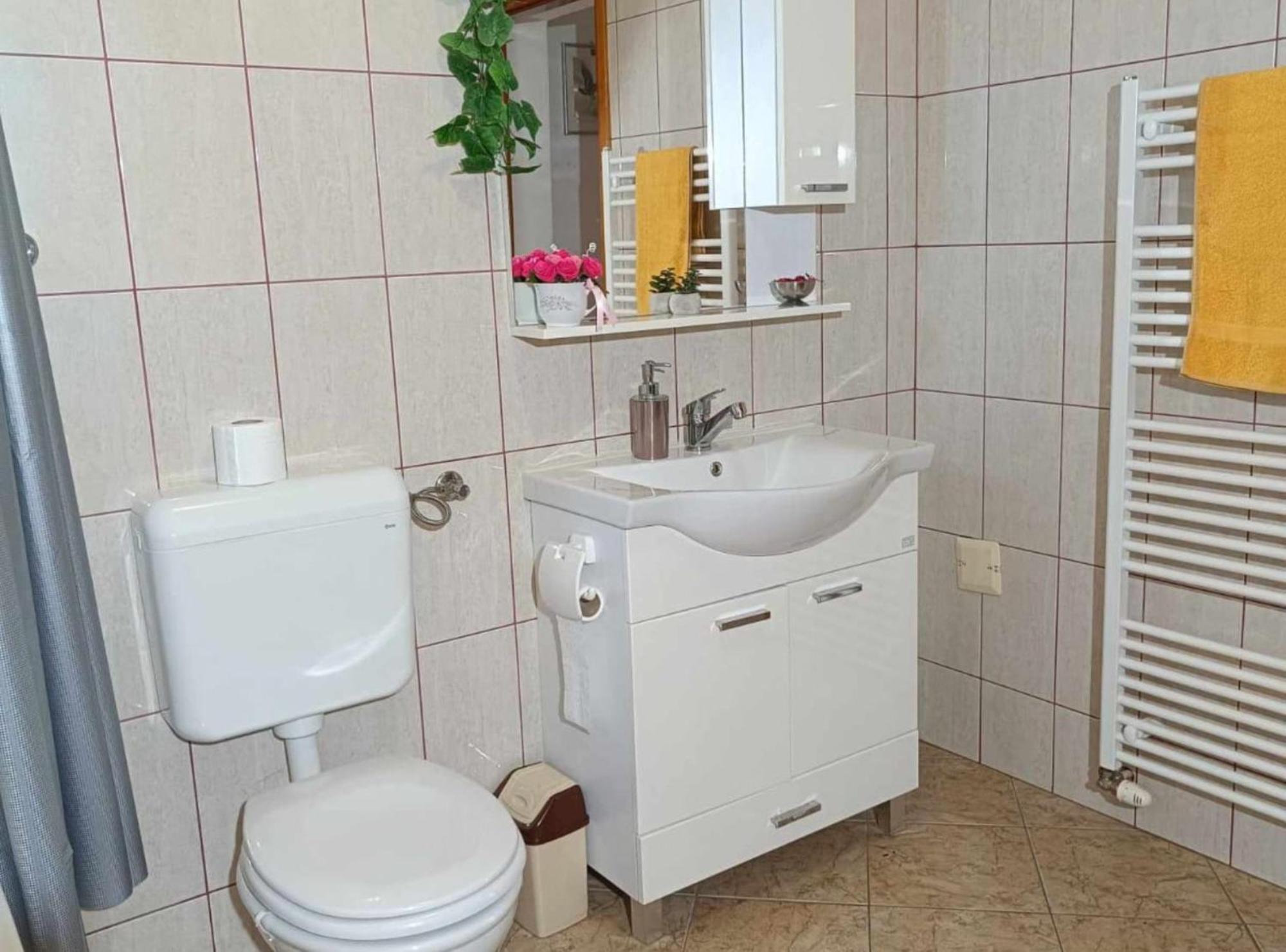 Apartmani Tea I Toni Gradiste Kültér fotó